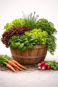 Thu Apr 16 Harvest Bushel 260416101